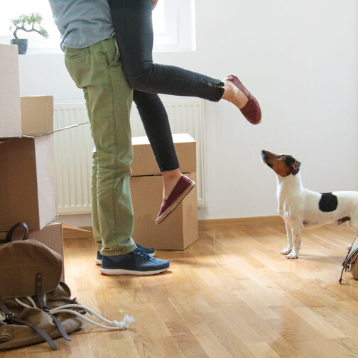 Ein Mann hebt eine Frau in die Luft, rings herum stehen Umzugskisten. Ein Hund schaut zu.