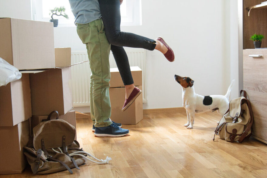 Ein Mann hebt eine Frau in die Luft, rings herum stehen Umzugskisten. Ein Hund schaut zu.