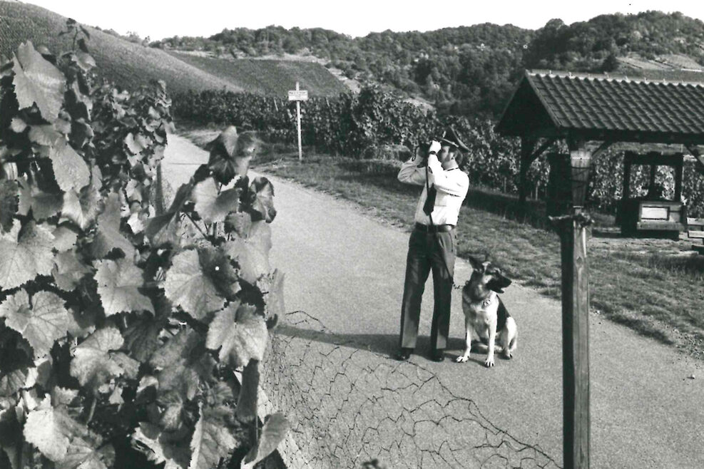 Schutz der Weinberge im Stadtteil Rotenberg-Uhlbach: Ein Vollzugsbeamter mit einem Schäferhund schaut durch ein Fernglas.