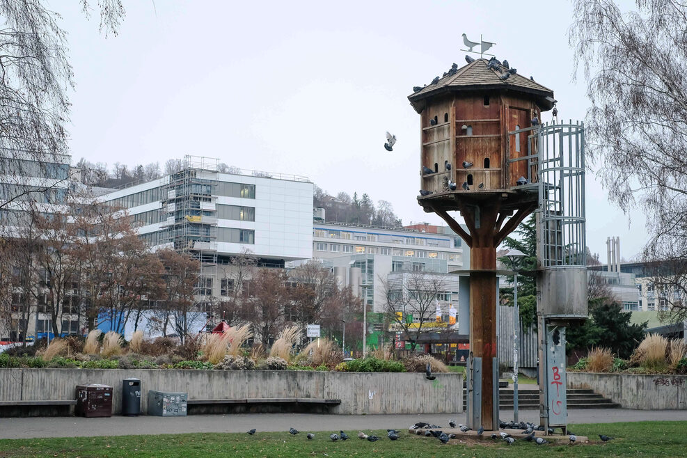 Taubenturm im Stadtgarten am Uni Campus Stadtmitte