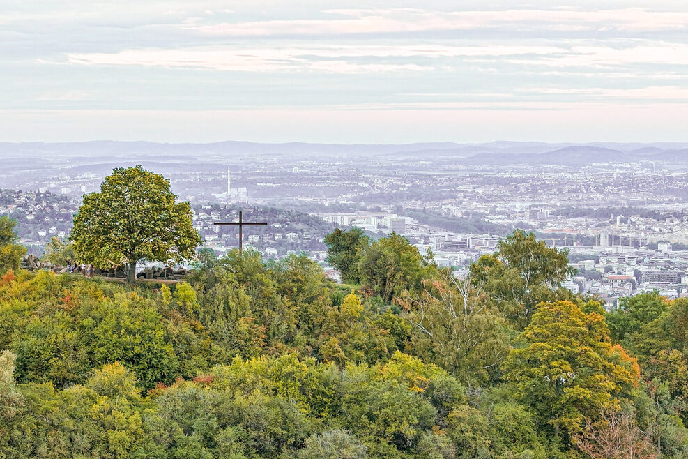 Drohnenaufnahme vom Stuttgarter Birkenkopf.