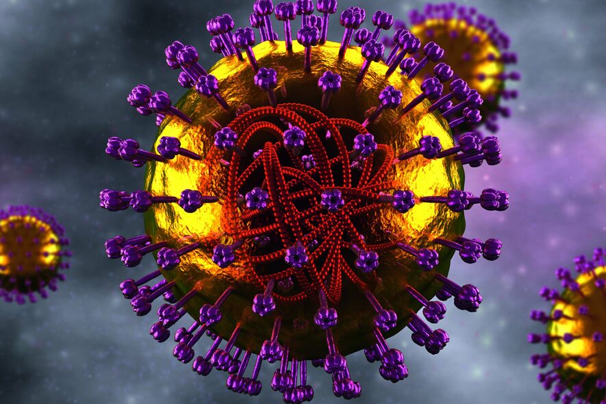 Masern-Virus