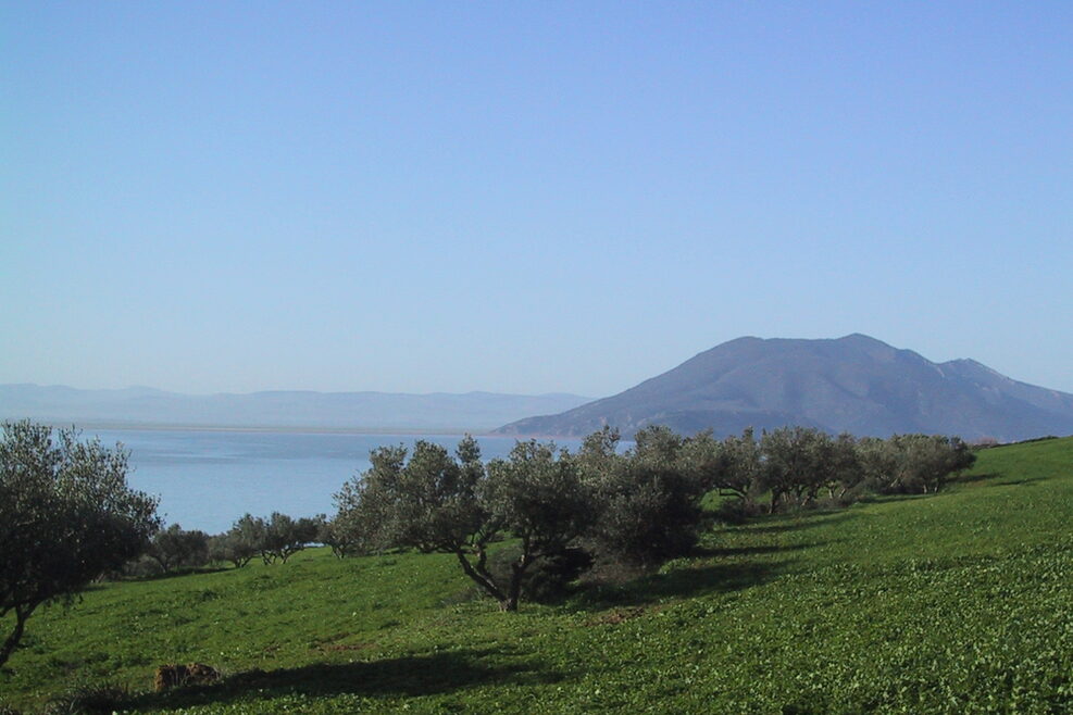 Blick auf eine grüne Wiese, dahinter liegt ein See und ein Berg.