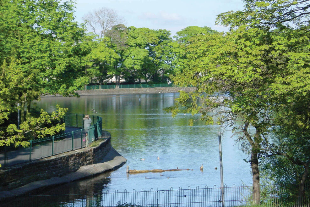 Park mit vielen grünen Bäumen und einem See.