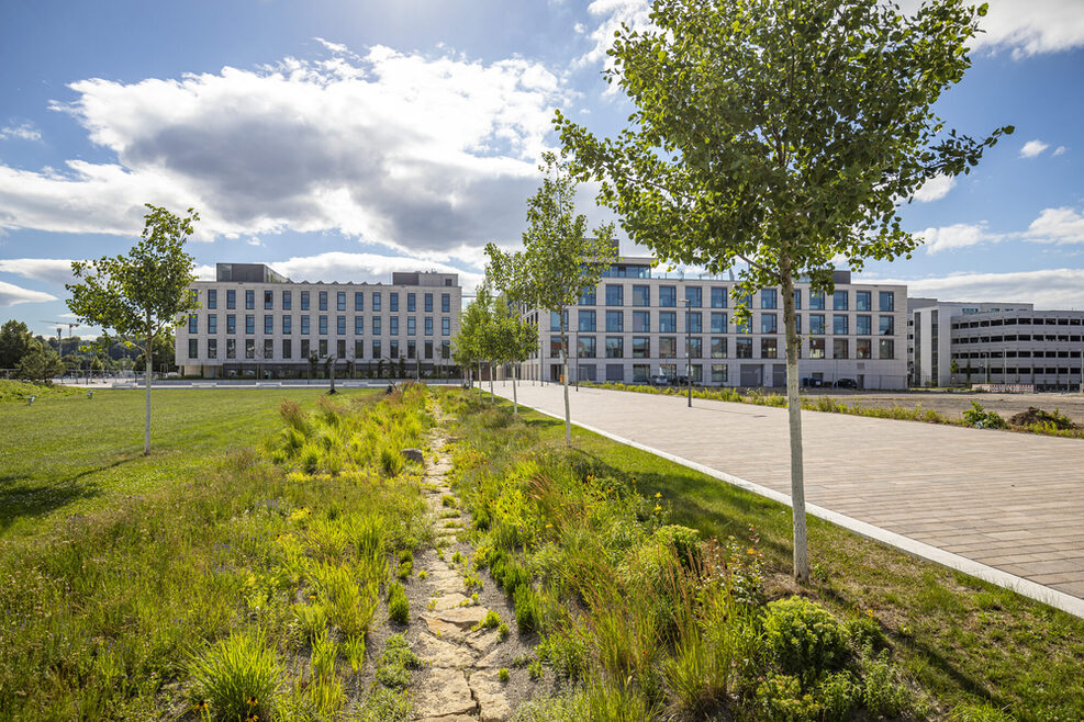 View of a green meadow, white new buildings can be seen in the background.