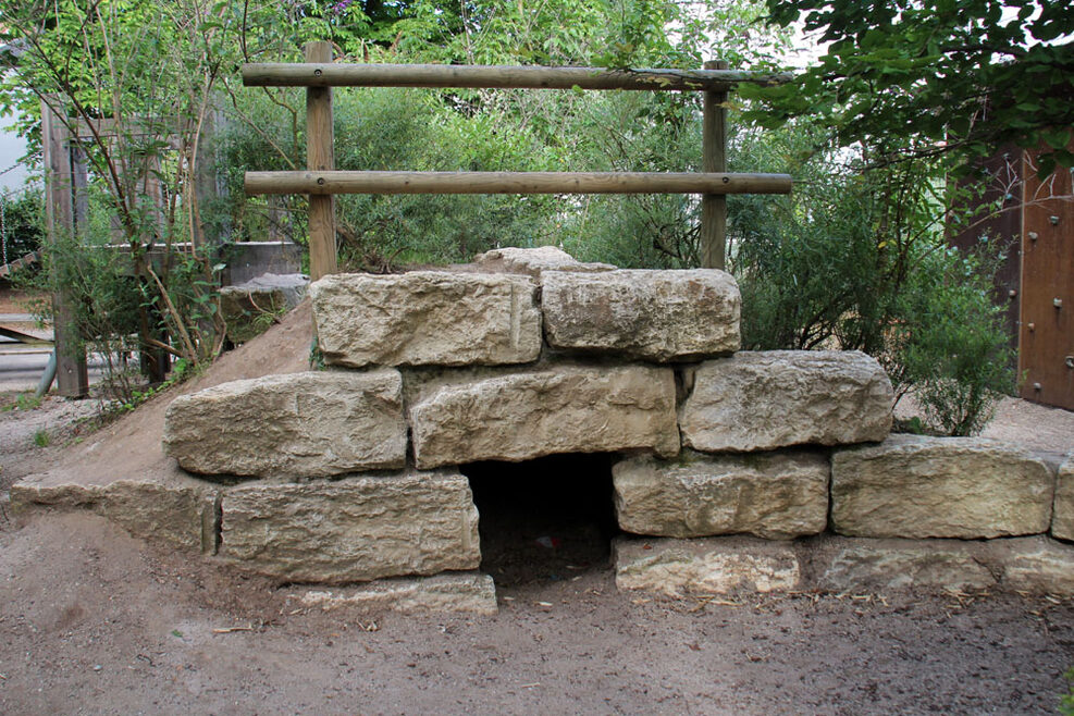 Außenbereich mit kleinem Klettergarten.