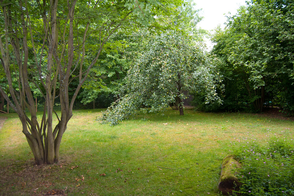 Im Garten können die Kinder toben und spielen.