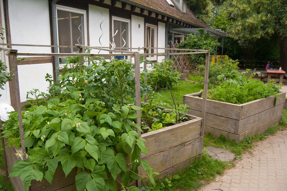 Kita Gorch-Fock-Straße Hochbeet