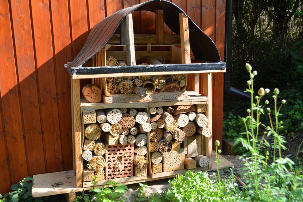 Im großen selbstgebauten Insektenhotel gibt es vieles zu beobachten.