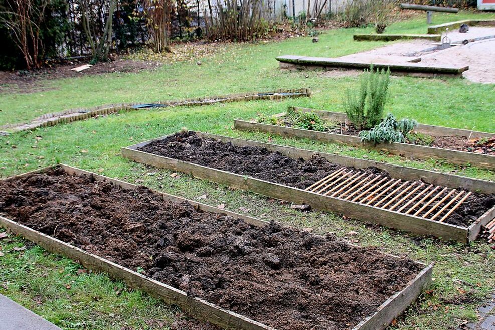 Im Garten können die Kinder Beete anlegen und bepflanzen.