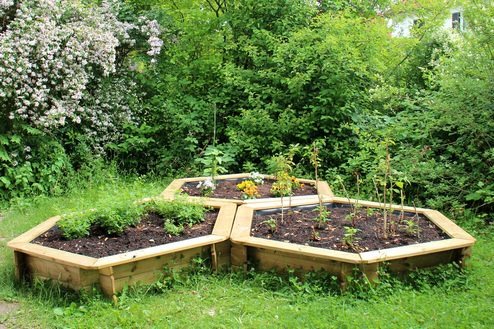 Im Garten bauen die Kinder Kräuter an.