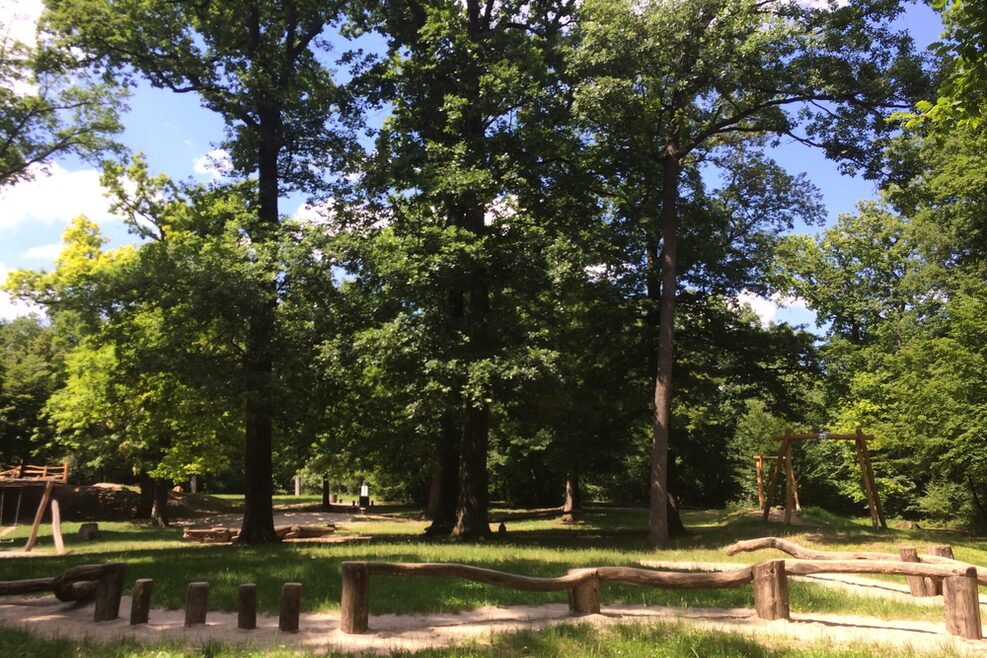 Blick auf einen Spielplatz im Wald im Sommer.