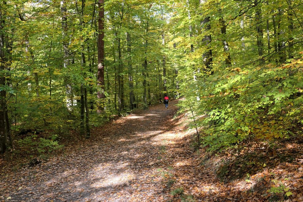 Ein Jogger läuft auf einem Waldweg.