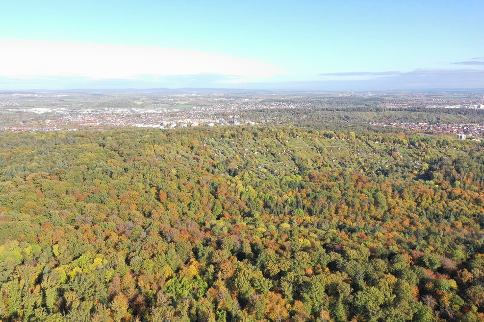 Blick aus der Luft über den Stuttgarter Wald. Im Hintergrund ist die Stadt zu erkennen.
