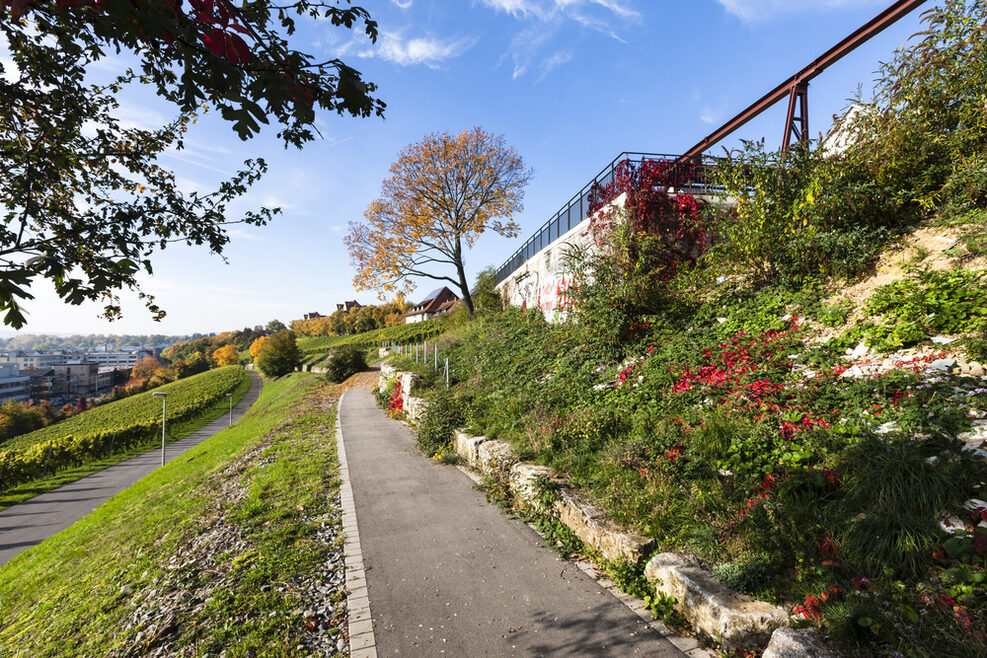 Blick in den Travertinpark.