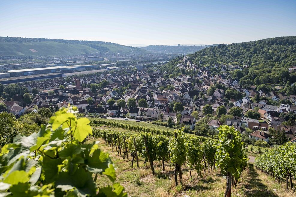 Blick über Hedelfingen