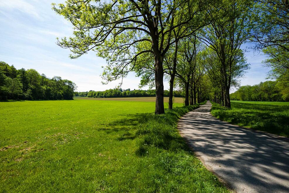 Wald und Wiesen des Naturschutzgebietes Häslachwald.