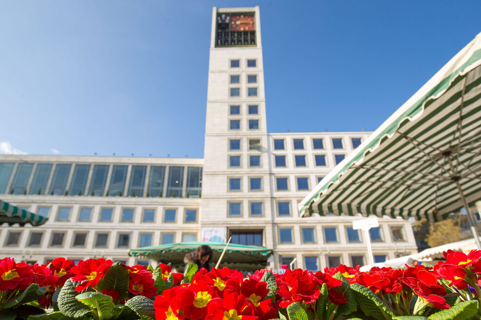 Rot-gelbes Blumenarrangement auf dem Marktplatz mit Blick auf den Stuttgarter Rathausturm