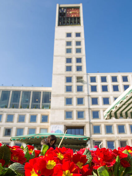 Rot-gelbes Blumenarrangement auf dem Marktplatz mit Blick auf den Stuttgarter Rathausturm