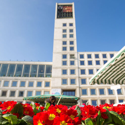 Rot-gelbes Blumenarrangement auf dem Marktplatz mit Blick auf den Stuttgarter Rathausturm