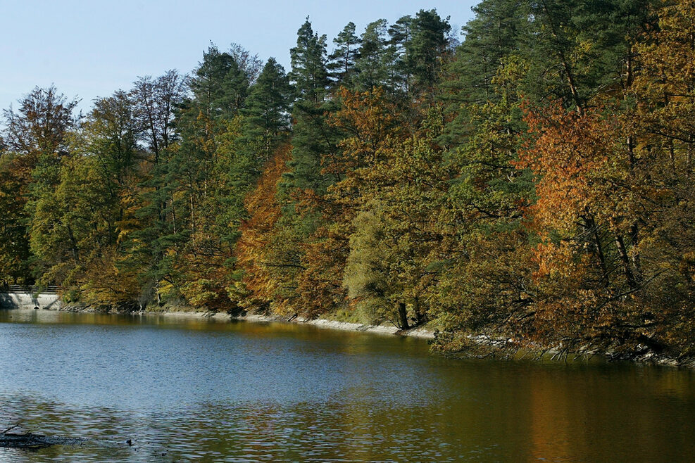 See mit Bäumen am Ufer, deren Laub herbstlich verfärbt ist.