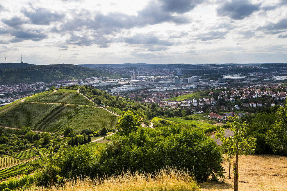 Blick von den Weinbergen auf Untertürkheim.