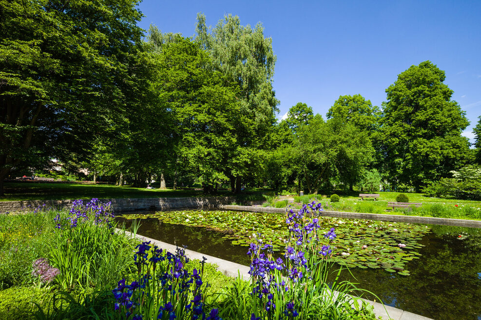 Stadtpark Vaihingen