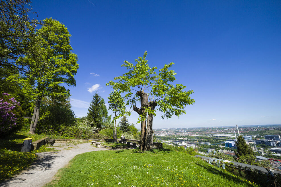 Blick von der Schillerlinde auf Stuttgart