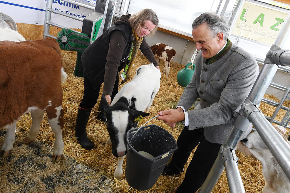 OB Frank Nopper steht in einem Stall und gibt einem Kalb Milch auch einem Eimer zu trinken.