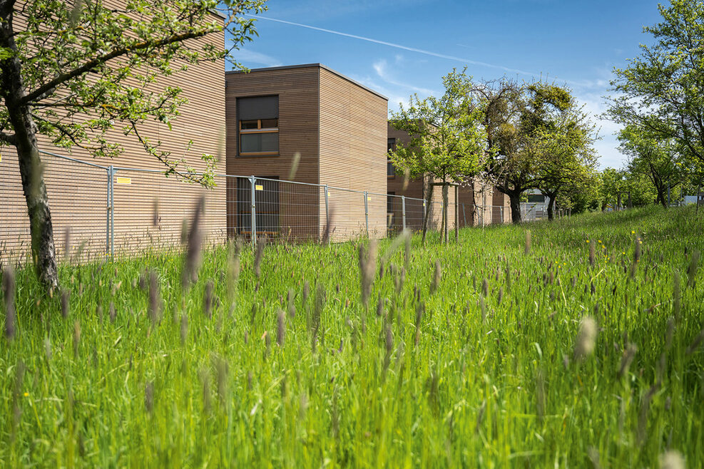 Die mit Holz verkleideten zweigeschossigen Gebäude fügen sich gut in ihre Umgebung ein.