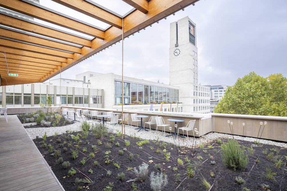Dachterrasse auf dem Haus des Tourismus in Stuttgart mit frisch bepflanzten Beeten und Sitzplätzen. Im Hintergrund ist der Glockenturm des Stuttgarter Rathauses zu sehen.