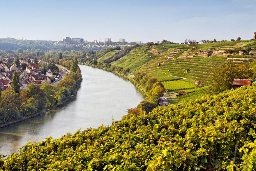 Weingut der Stadt Stuttgart am Neckar in Terrassenlage.