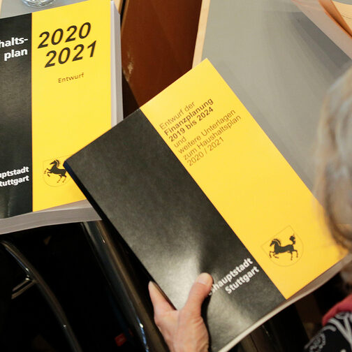 Zu sehen sind die Publikationen des Haushaltsplans 2020/2021 und die Finanzplanung 2021 bis 2024.