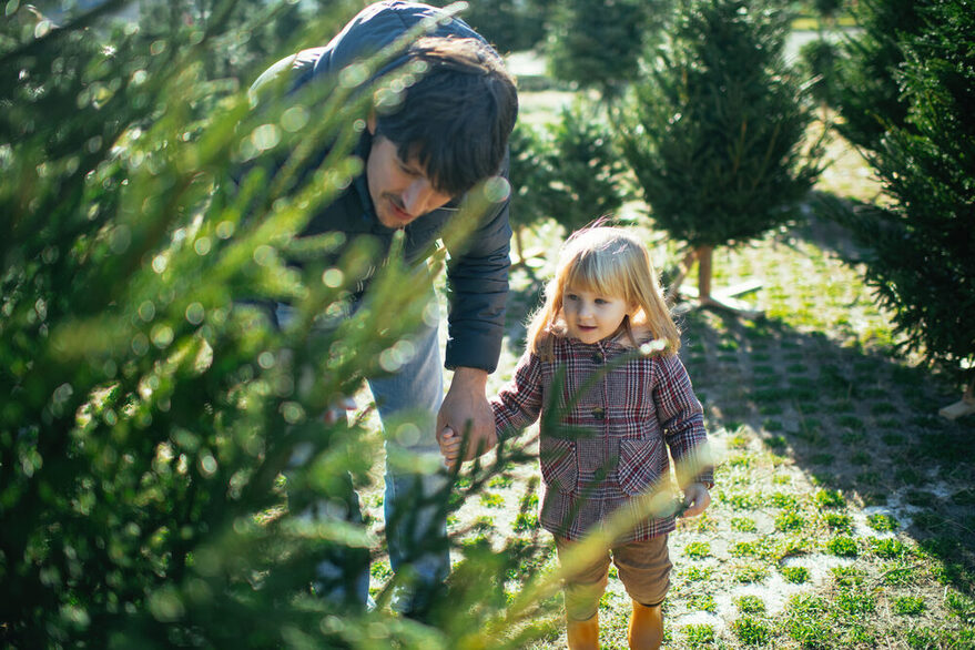 Ein Vater sucht mit seiner Tochter im Kleinkindalter einen Weihnachtsbaum aus.