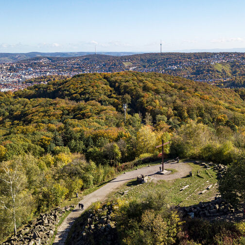 Birkenkopf von oben