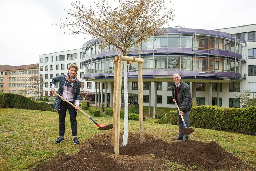 Krankenhausbürgermeister Thomas Fuhrmann und Sozialbürgermeisterin Dr. Alexandra Sußmann pflanzen als Zeichen des Gedenkens an die Corona-Opfer einen Baum.