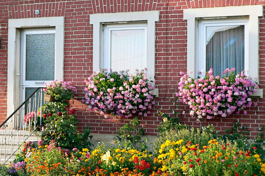 Foto von Hauseingang mit Blumenkästen und blühendem Vorgarten