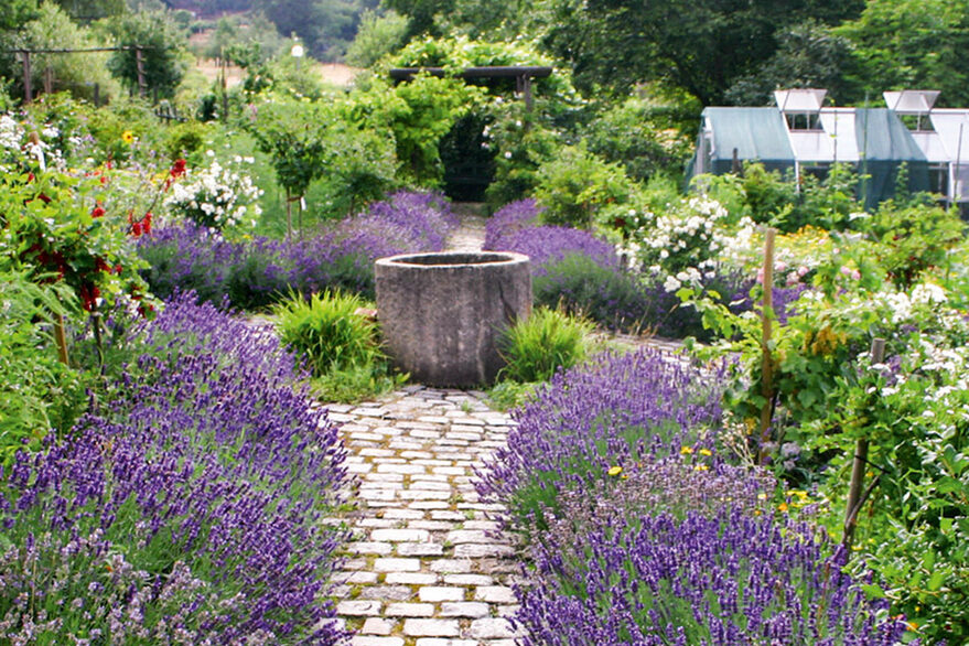 Foto von Garten mit Lavendelbüschen und kleinem Brunnen