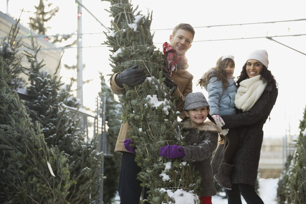 Eine vierköpfige, junge Familie kauft einen Weichnachtsbaum.