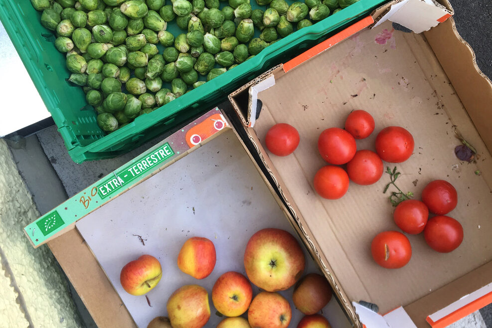 Drei Kisten mit geretteten Äpfeln, Tomaten und Rosenkohl