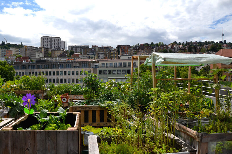 Urban Gardening auf dem Züblin-Parkhaus