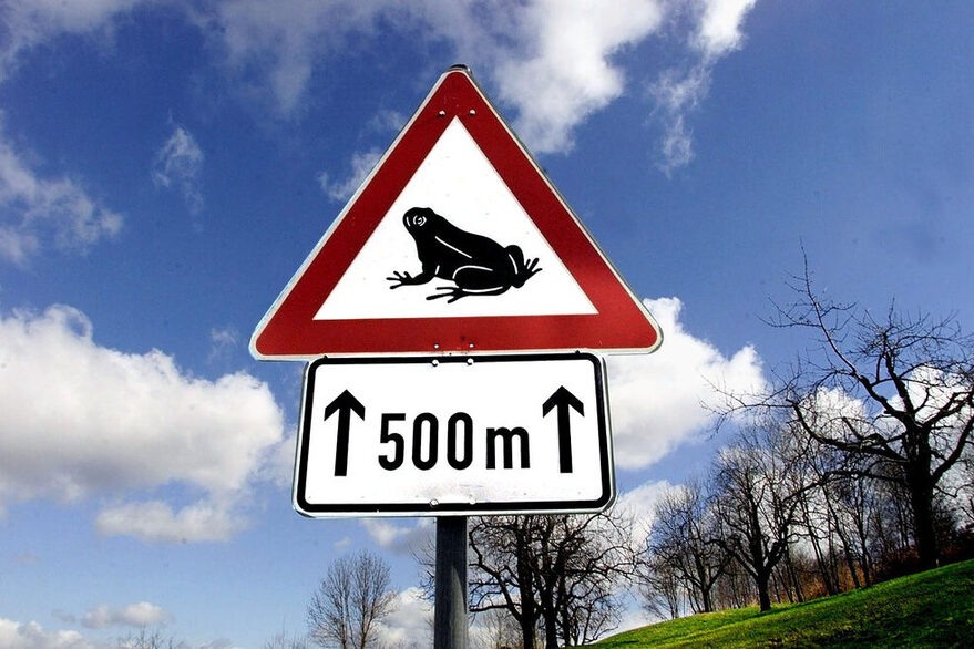 Straßenschild warnt vor Krötenwanderung