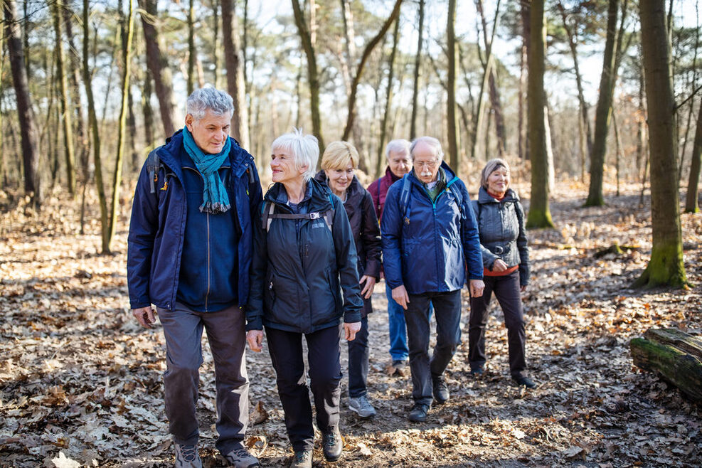 Eine Gruppe von Senioren läuft durch den Wald