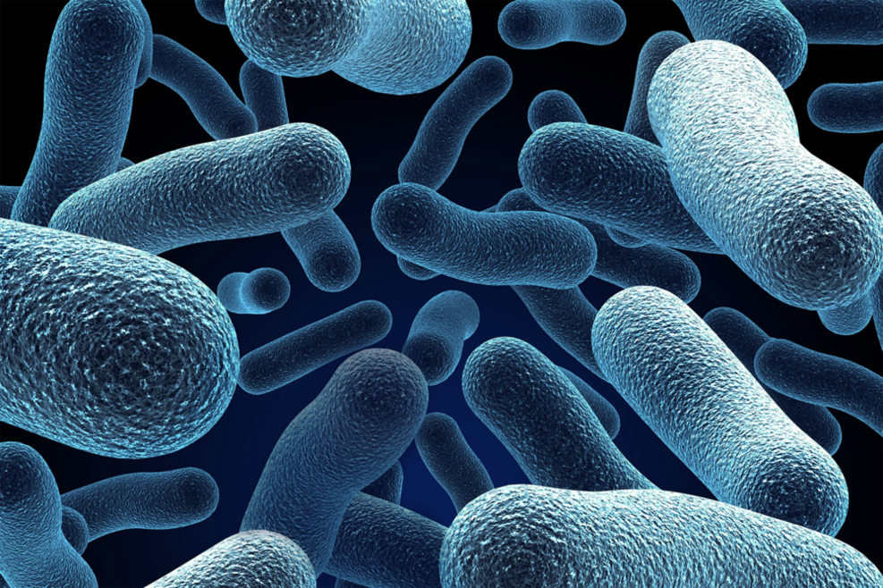 Blaue Bakterien unter dem Mikroskop, abstrakter Hintergrund