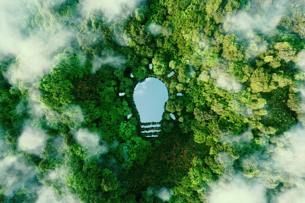 Blick von oben auf einen üppigen Wald, in der Mitte ist ein zwiebelförmiger See