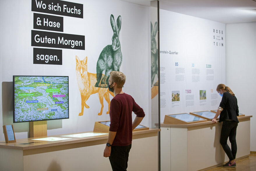 Seit dem 11. September können Bürgerinnen und Bürger die neue Ausstellung zum Rosenstein-Quartier im Rathausfoyer besuchen.