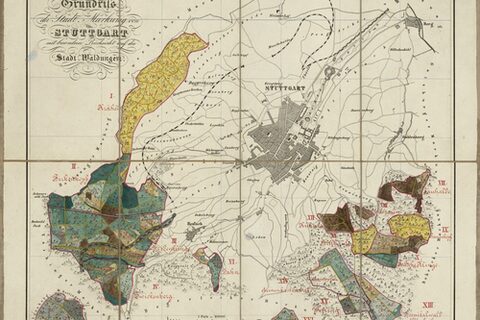 Die historische Karte zeigt die Stadtwaldungen im Jahr 1885.