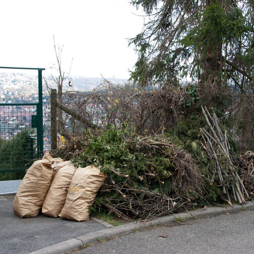 Grüngut, zur Abholung am Straßenrand bereitgestellt.