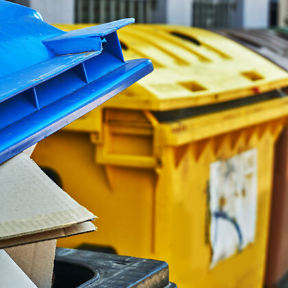 Gelbe, braune, grüne und graue Mülltonne zur korrekten Mülltrennung
