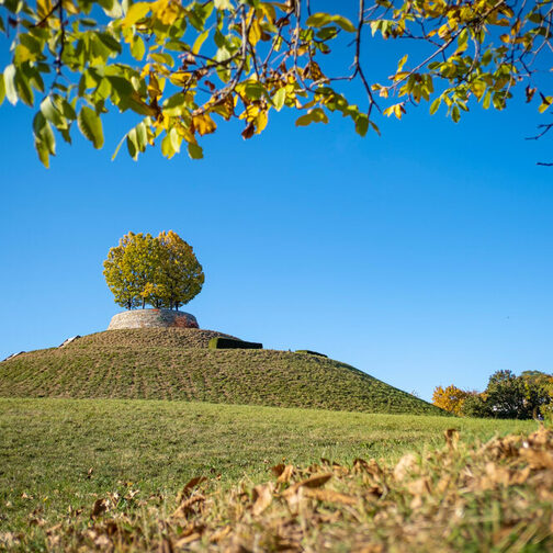 Bastion Leibfried